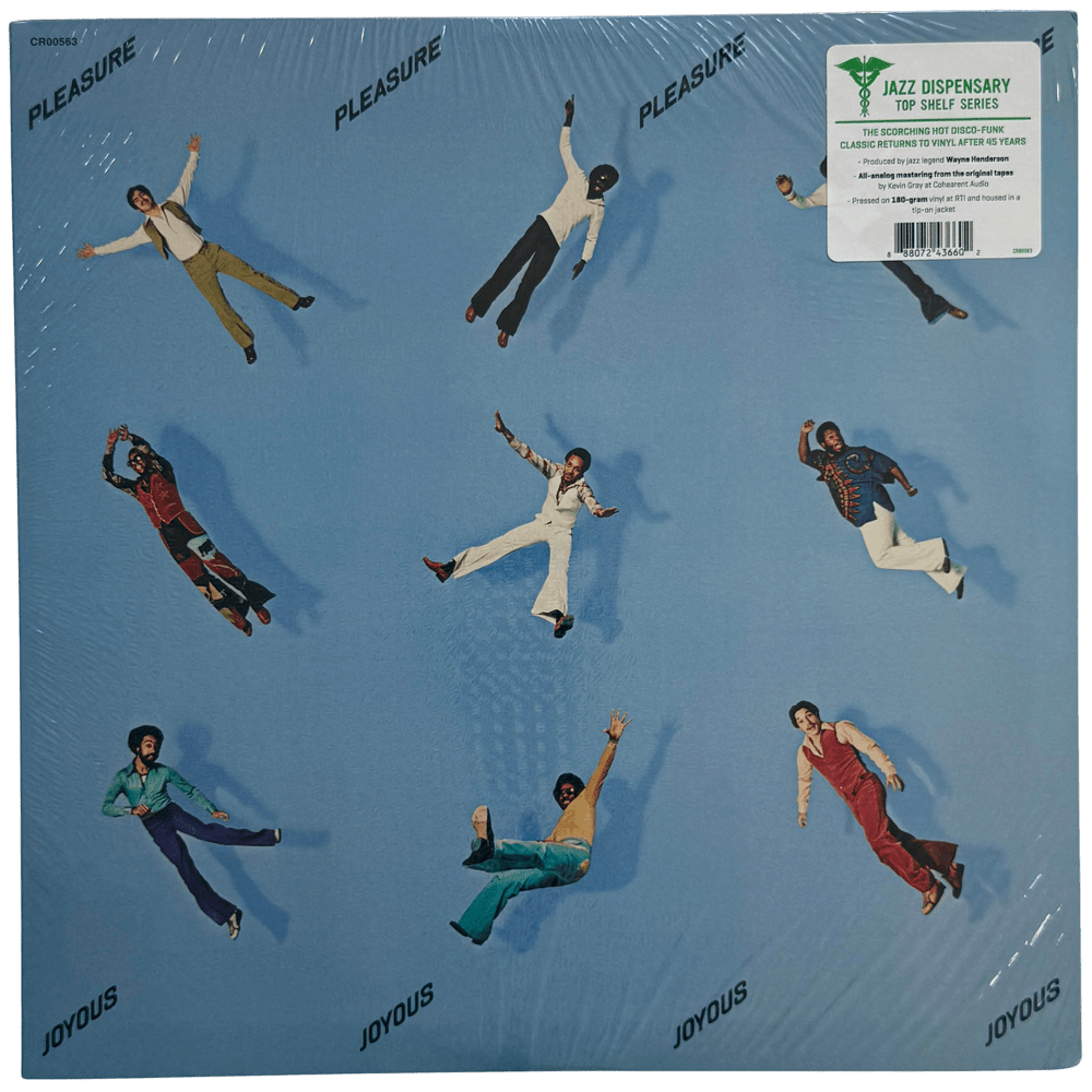 洋楽 pleasure joyous US Pleasure - 